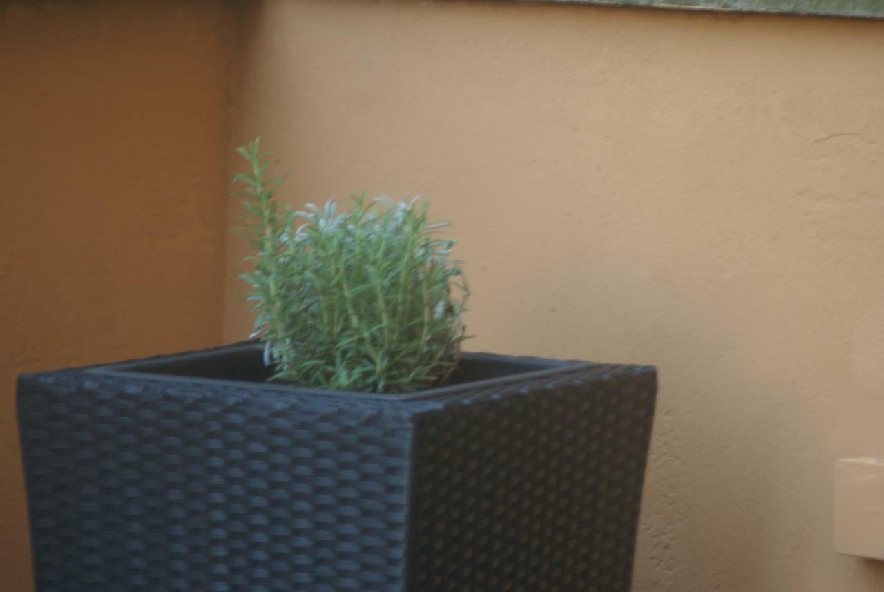Stayinbologna Kültér fotó